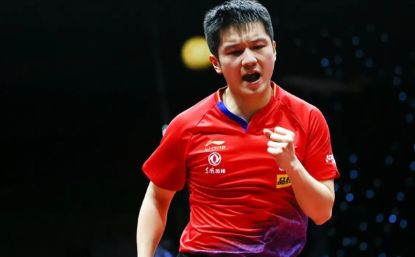 正规配资开户 王励勤三重布局封神！樊振东这步棋，藏着国乒未来十年